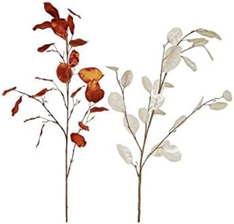 Kunstpflanze Pfennigblatt natur 105cm, EK Germany