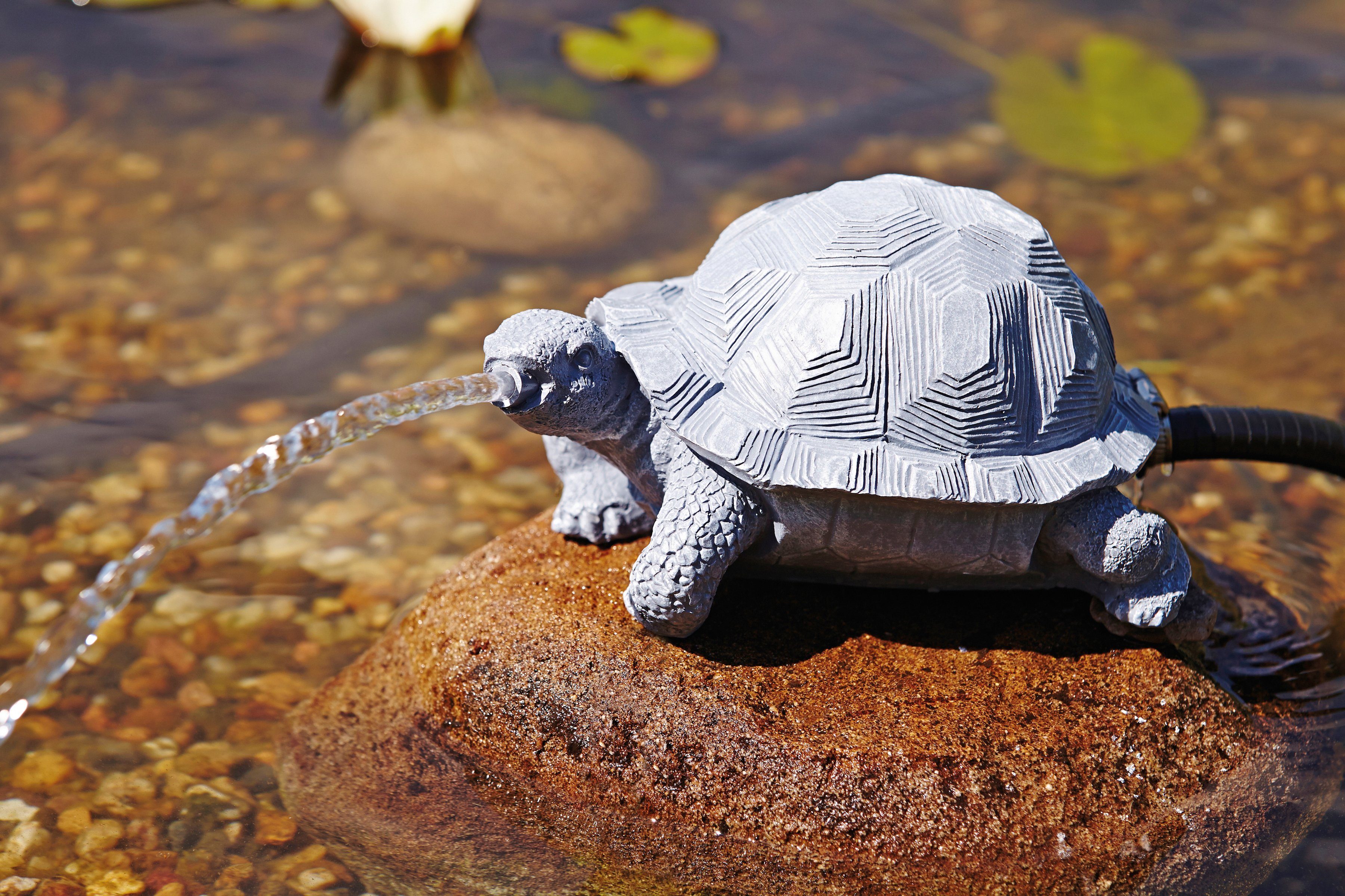 OASE Wasserspeier »Schildkröte«-Otto