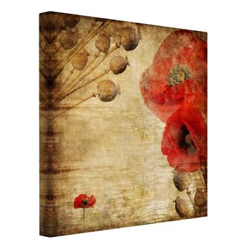 Bilderdepot24 Leinwandbild Vintage Retro Modern Mohnblume rot Bild auf Leinwand Groß XXL, Bild auf Leinwand; Leinwanddruck in vielen Größen