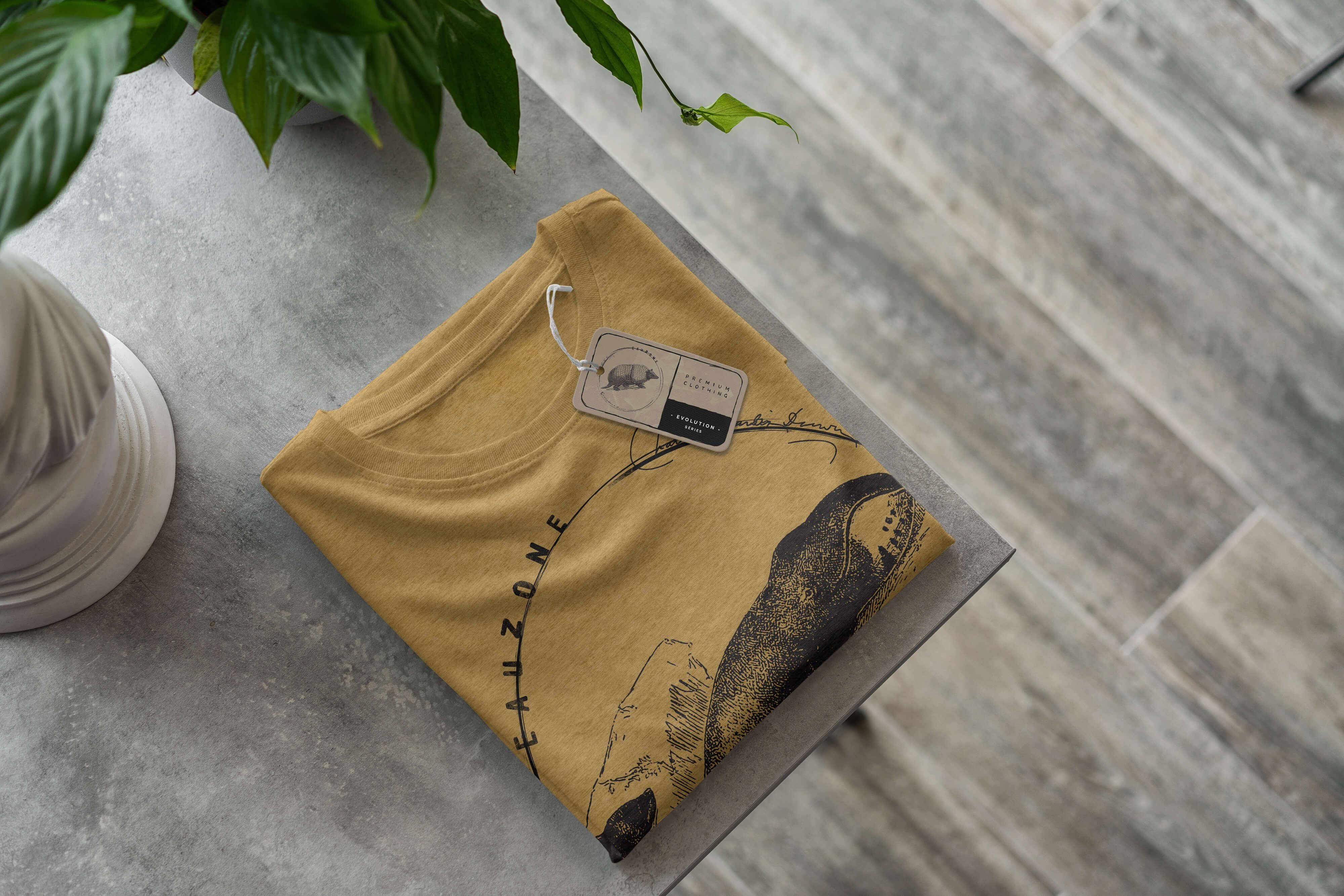 Evolution Antique Grönlandwal Herren T-Shirt Sinus Art T-Shirt Gold