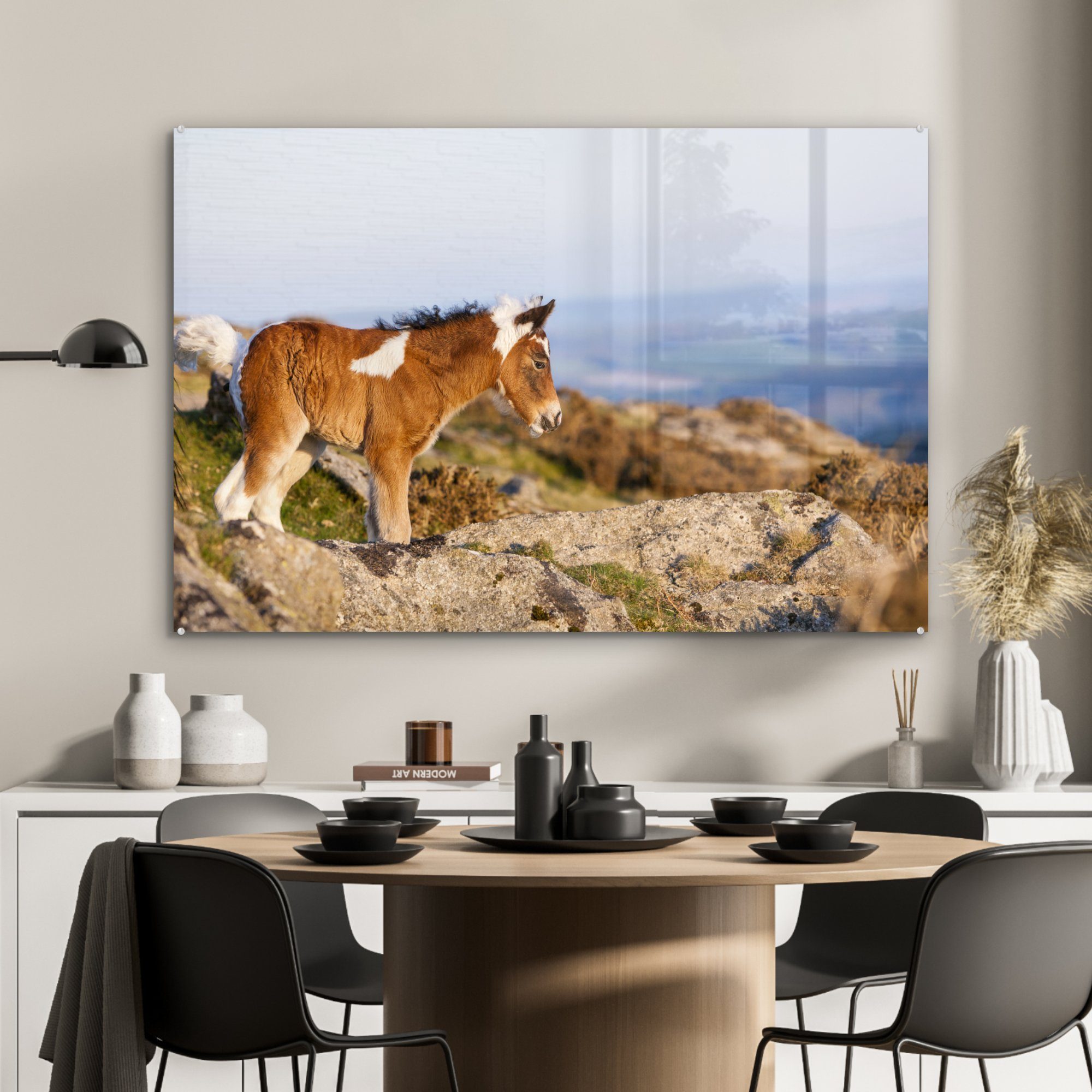 MuchoWow Acrylglasbild Pferde Acrylglasbilder Gebirge, - Wohnzimmer (1 - - Schlafzimmer St), Fohlen & Dartmoor