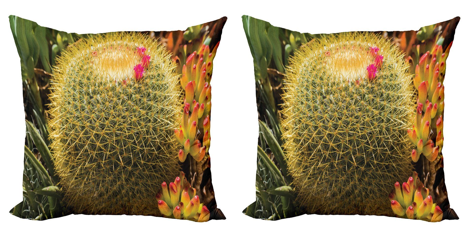 Kissenbezüge Modern Accent Doppelseitiger Digitaldruck, Abakuhaus (2 Stück), Blume Kaktus-Anlage mit Spikes