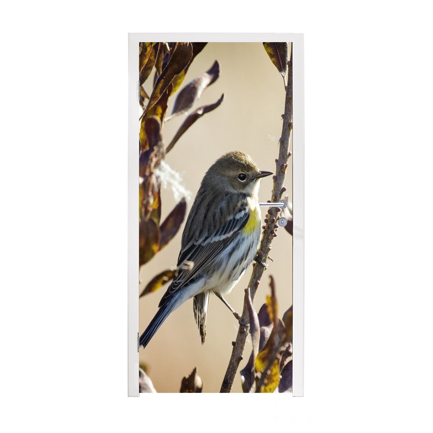 MuchoWow Türtapete Vogel zwischen einem Zweig mit Blättern, Matt, bedruckt, (1 St), Fototapete für Tür, Türaufkleber, 75x205 cm