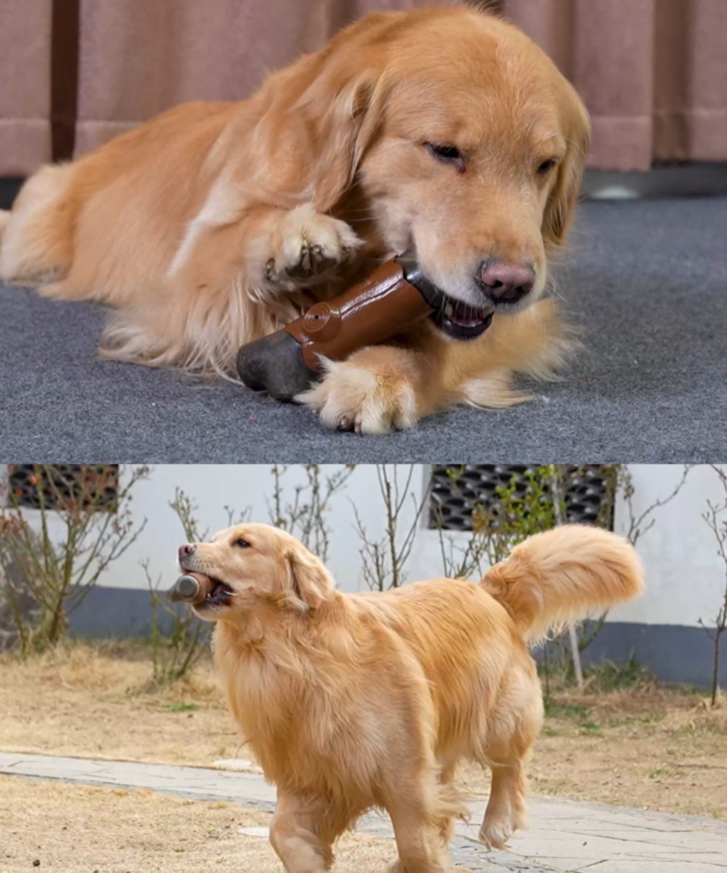 BYSURE Tier-Intelligenzspielzeug, (1-tlg) Kaufestes Beißspielzeug für Hunde