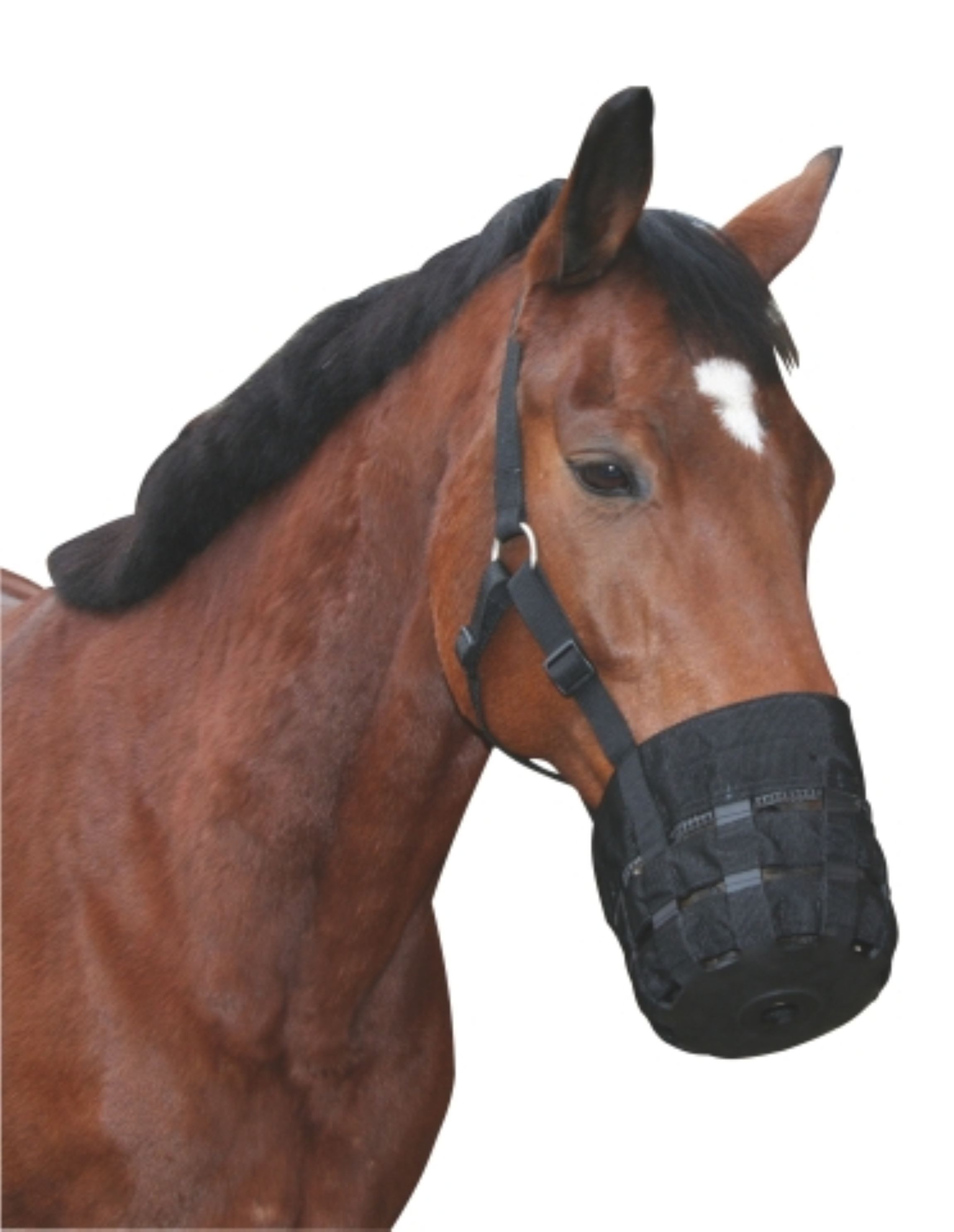 Kerbl Fressbremse Kerbl 321625 Maulkorb mit Halfter, Pony