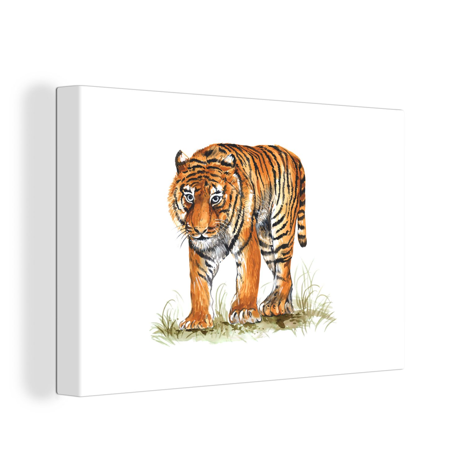 OneMillionCanvasses® Leinwandbild Tiger - Gras - Bild, (1 St), Wandbild Leinwandbilder, Aufhängefertig, Wanddeko, 30x20 cm