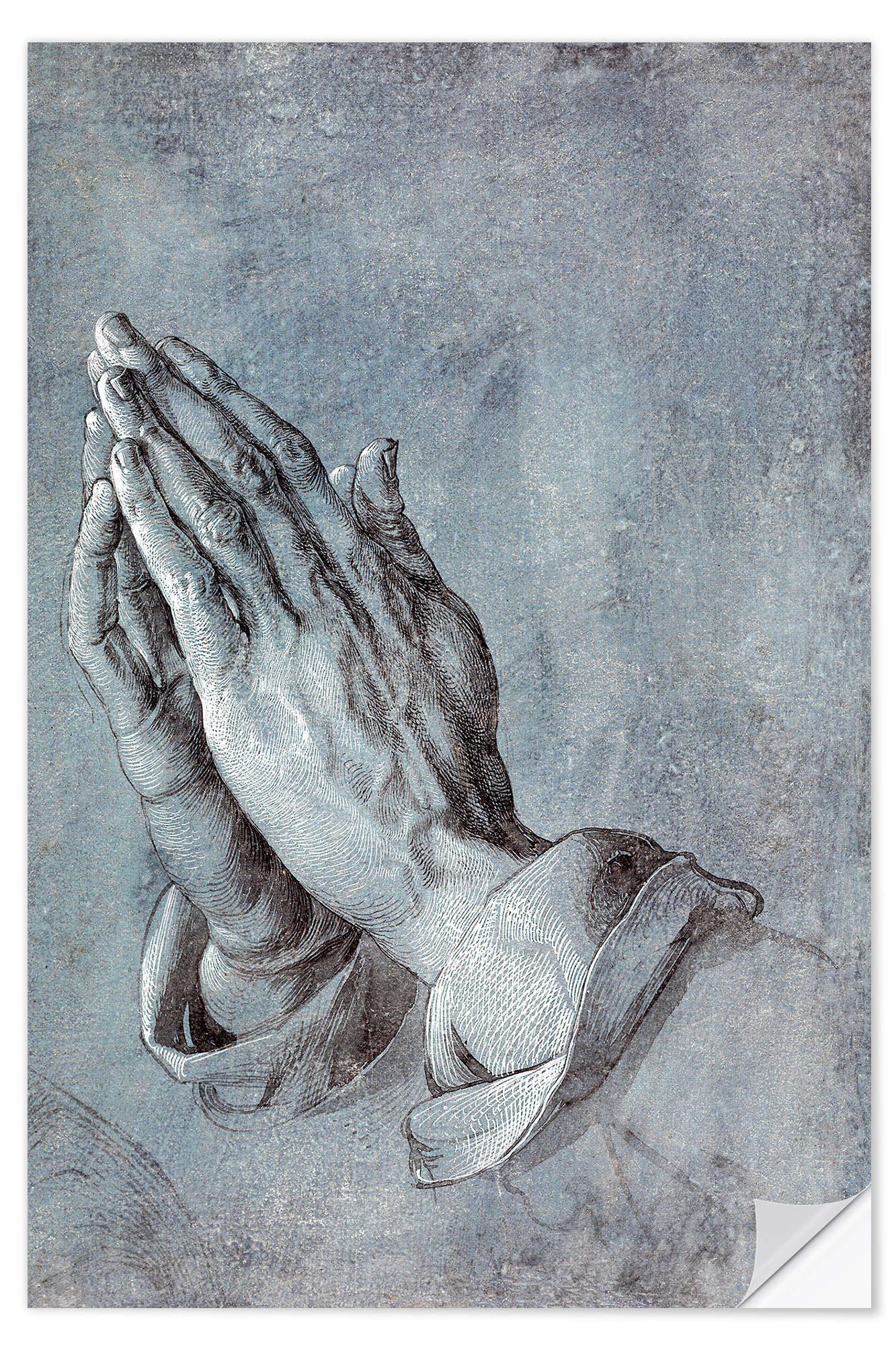 Wandfolie Albrecht Dürer