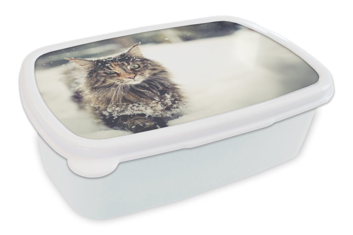 MuchoWow Lunchbox Katze - Schnee - Tiere, Kunststoff, (2-tlg), Brotbox für Kinder und Erwachsene, Brotdose, für Jungs und Mädchen weiß