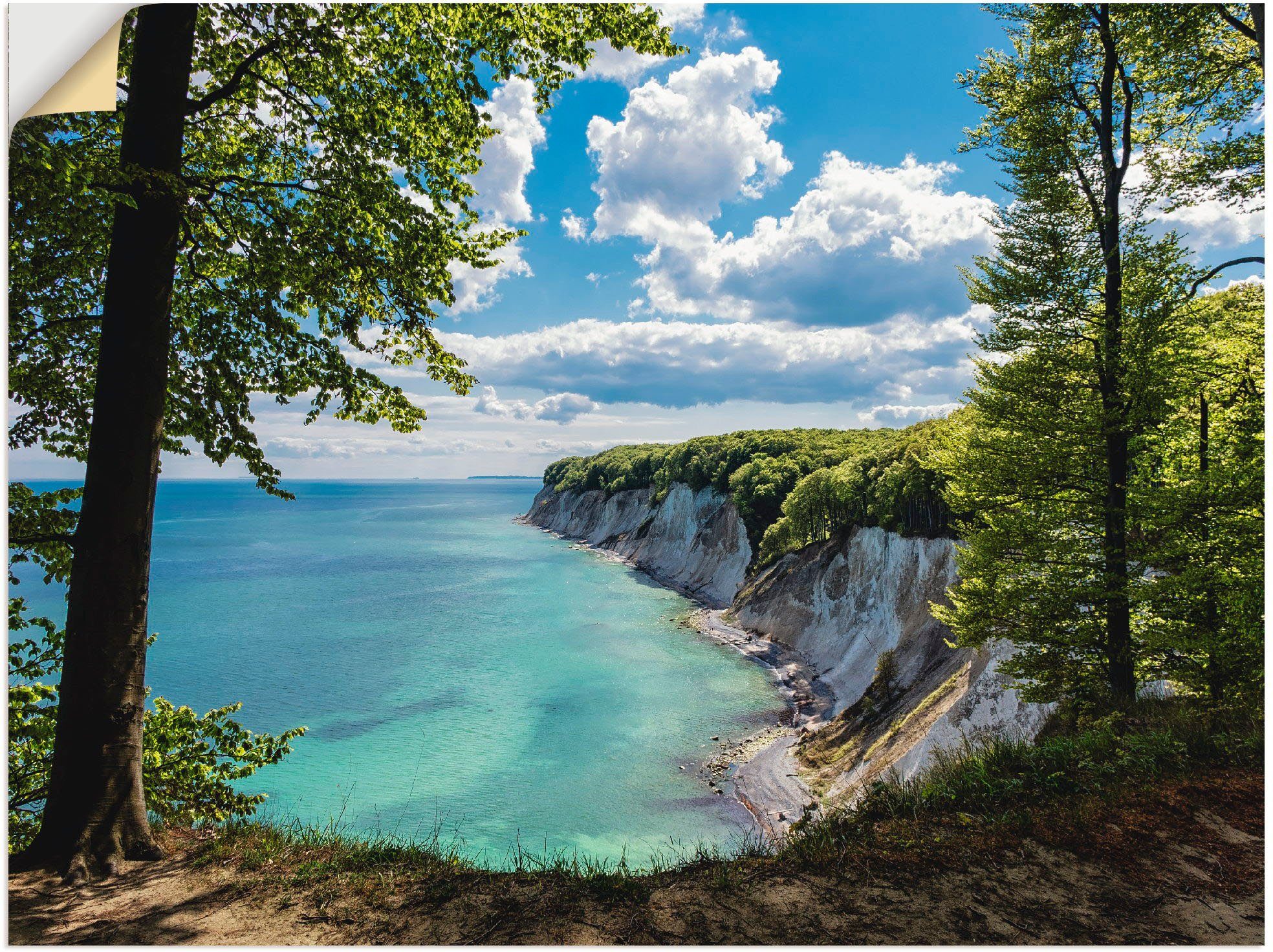 Artland Wandbild Ostseeküste auf der Insel günstig online kaufen