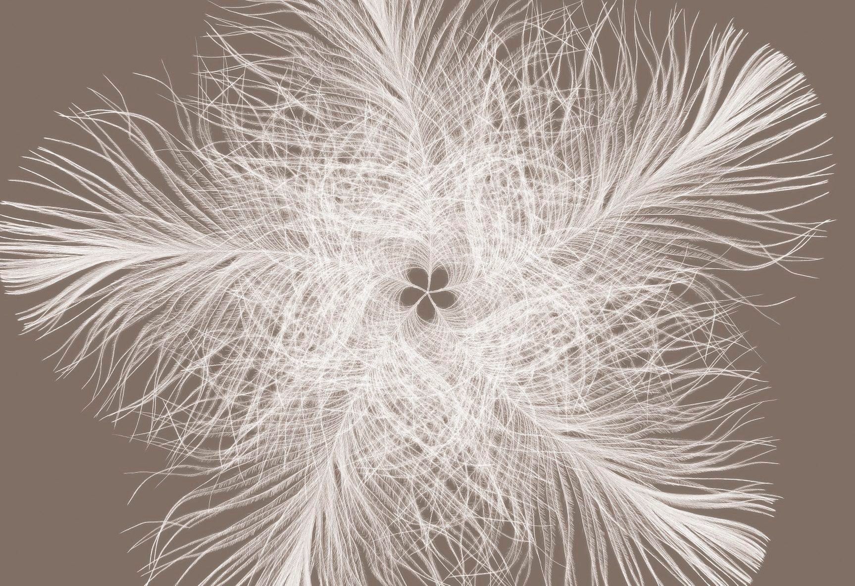 Komar Vliestapete Vlies - Federstern - Größe 368 x 248 cm, glatt, bedruckt, Wohnzimmer, Schlafzimmer