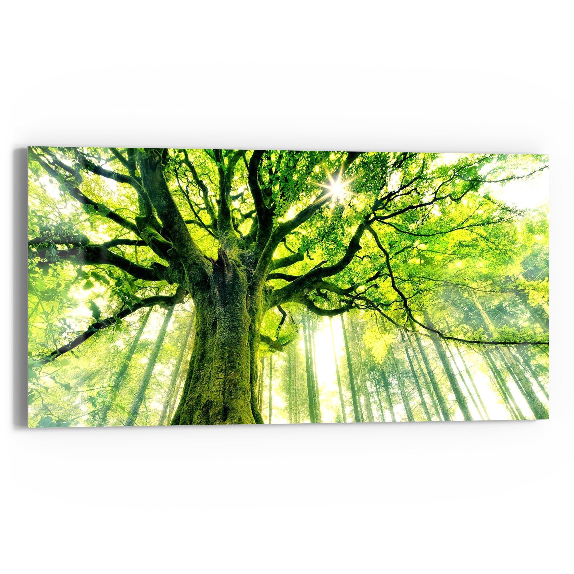 DEQORI Glasbild 'Eindrucksvoller Baum', 'Eindrucksvoller Baum', günstig online kaufen