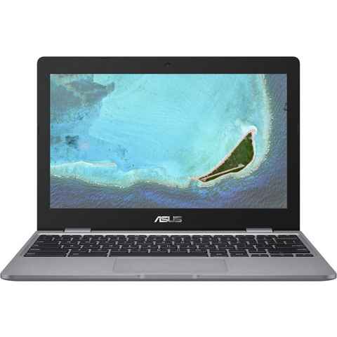 Asus Chromebook C223NA-GJ0102 Notebook (Intel Celeron N3350, UHD Graphics, 32 GB HDD)