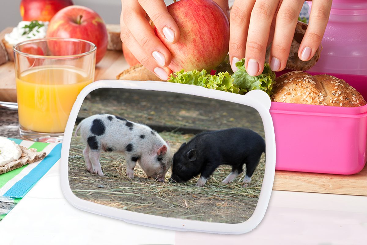 (2-tlg), Kunststoff, Ferkel - Stroh, für Erwachsene, Kunststoff Brotdose Snackbox, Brotbox - rosa Schweine Kinder, Mädchen, MuchoWow Lunchbox