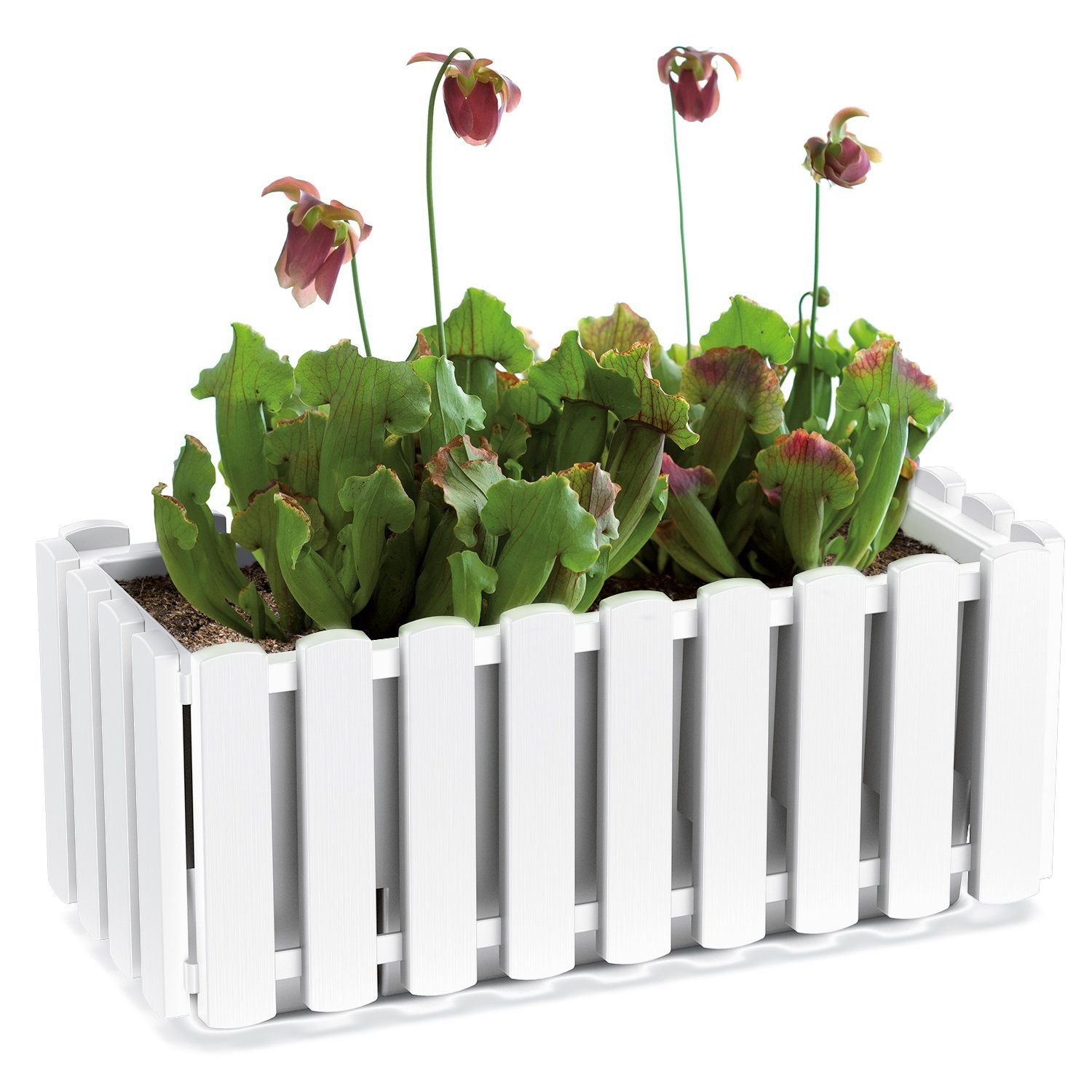 KAGM Blumenkasten Balkonkasten Pflanzkasten Landhausoptik Lattenoptik günstig online kaufen