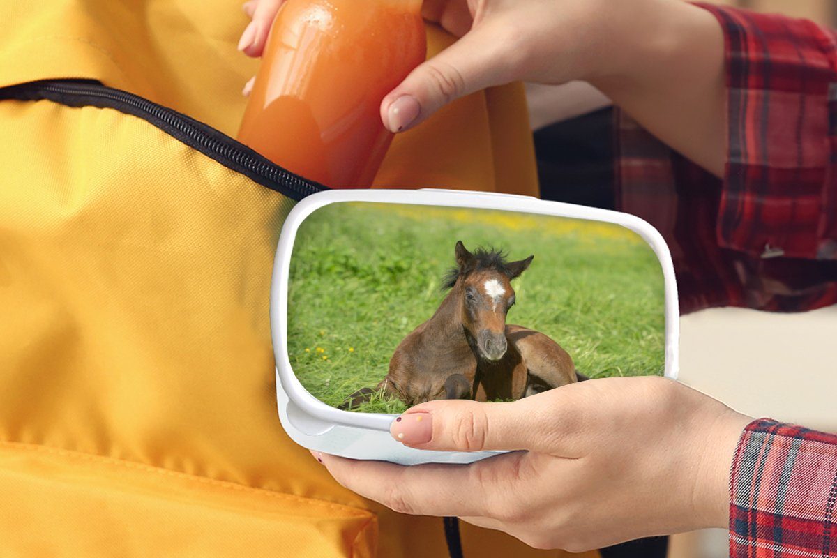 MuchoWow Lunchbox Pferde für weiß Brotbox Erwachsene, (2-tlg), und und - Mädchen Jungs Kunststoff, Gras, Licht Brotdose, Kinder für 