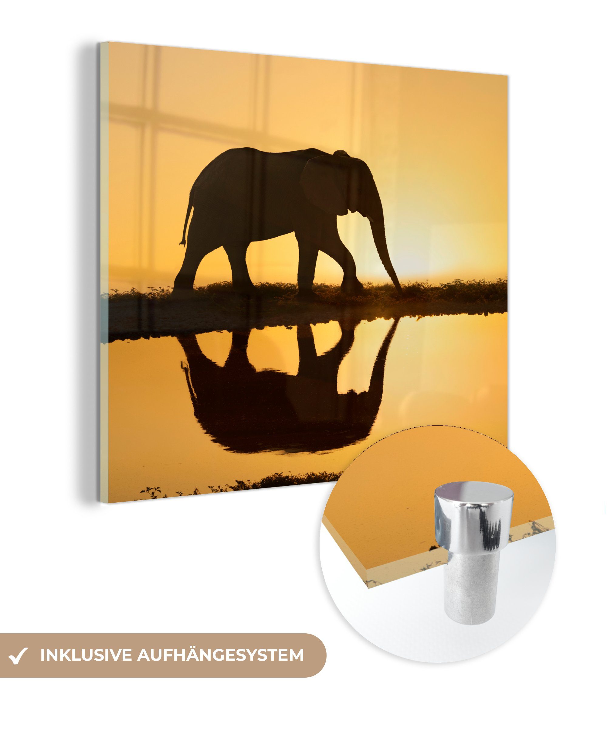 MuchoWow Acrylglasbild Silhouette eines Elefanten bei Sonnenuntergang, (1 St), Glasbilder - Bilder auf Glas Wandbild - Foto auf Glas - Wanddekoration bunt