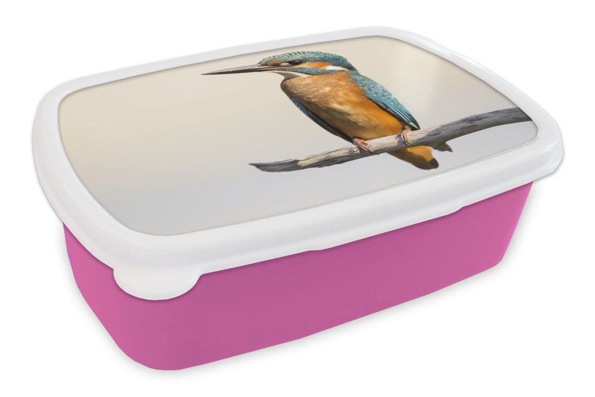 MuchoWow Lunchbox Eisvogel - Zweige - Tiere, Kunststoff, (2-tlg), Brotbox für Erwachsene, Brotdose Kinder, Snackbox, Mädchen, Kunststoff rosa