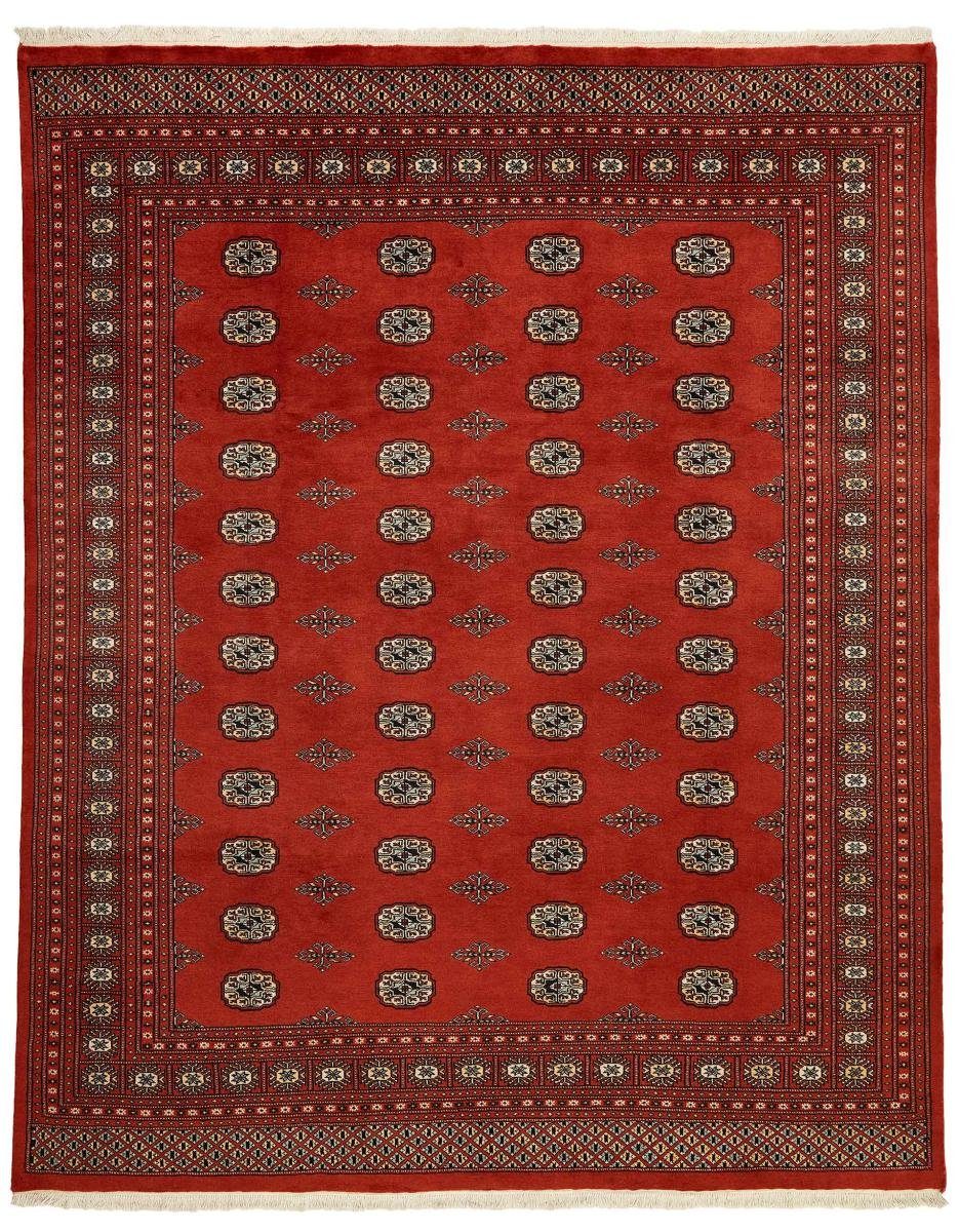 Orientteppich Pakistan Buchara 2ply 244x302 Handgeknüpfter Orientteppich, Nain Trading, rechteckig, Höhe: 8 mm