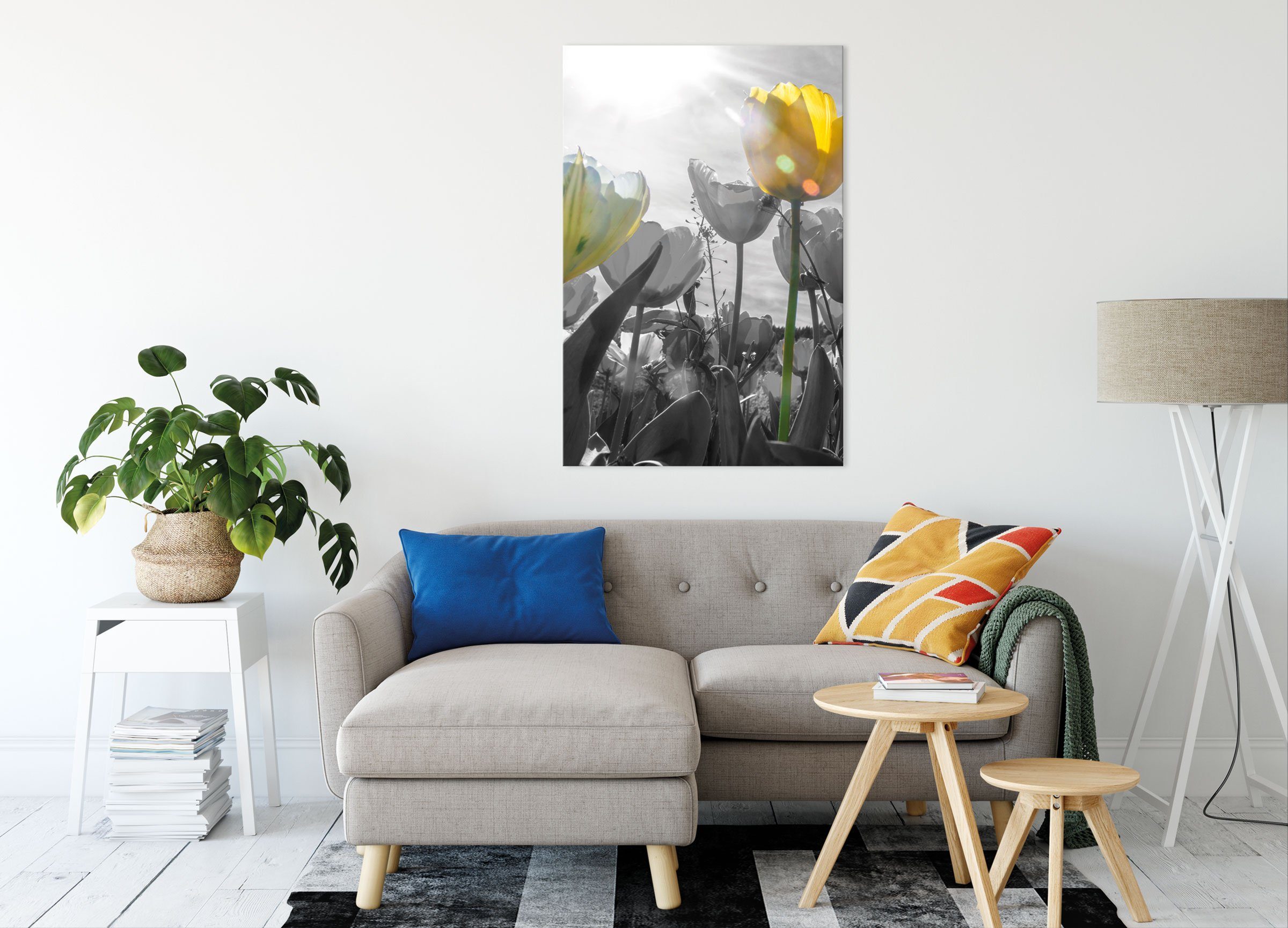 (1 Tulpenwiese Leinwandbild wunderschöne bespannt, Leinwandbild wunderschöne fertig Zackenaufhänger schwarz/weiß Tulpenwiese schwarz/weiß, Pixxprint inkl. St),