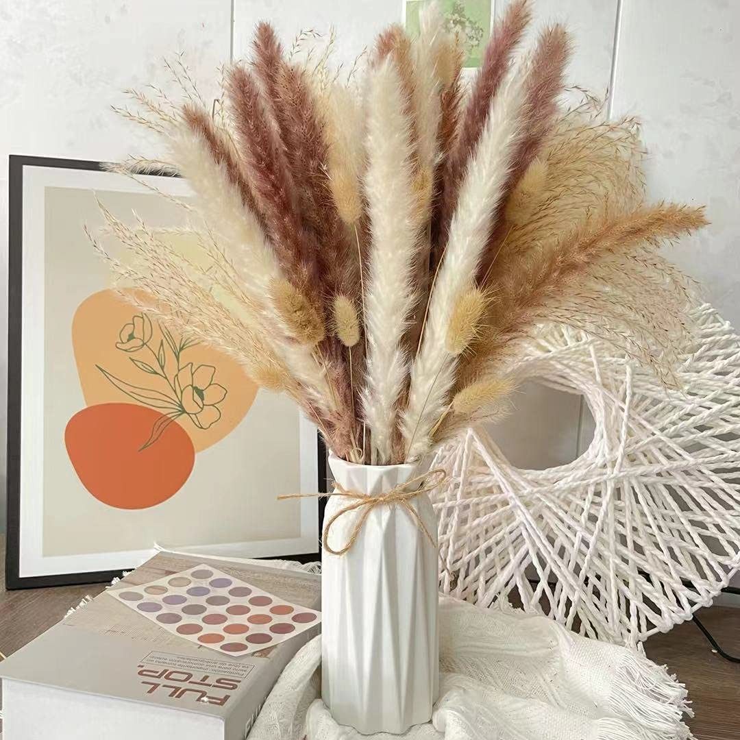 Trockenblume Pampasgras Trockenblumen Deko,75 Stück Pampasgras günstig online kaufen