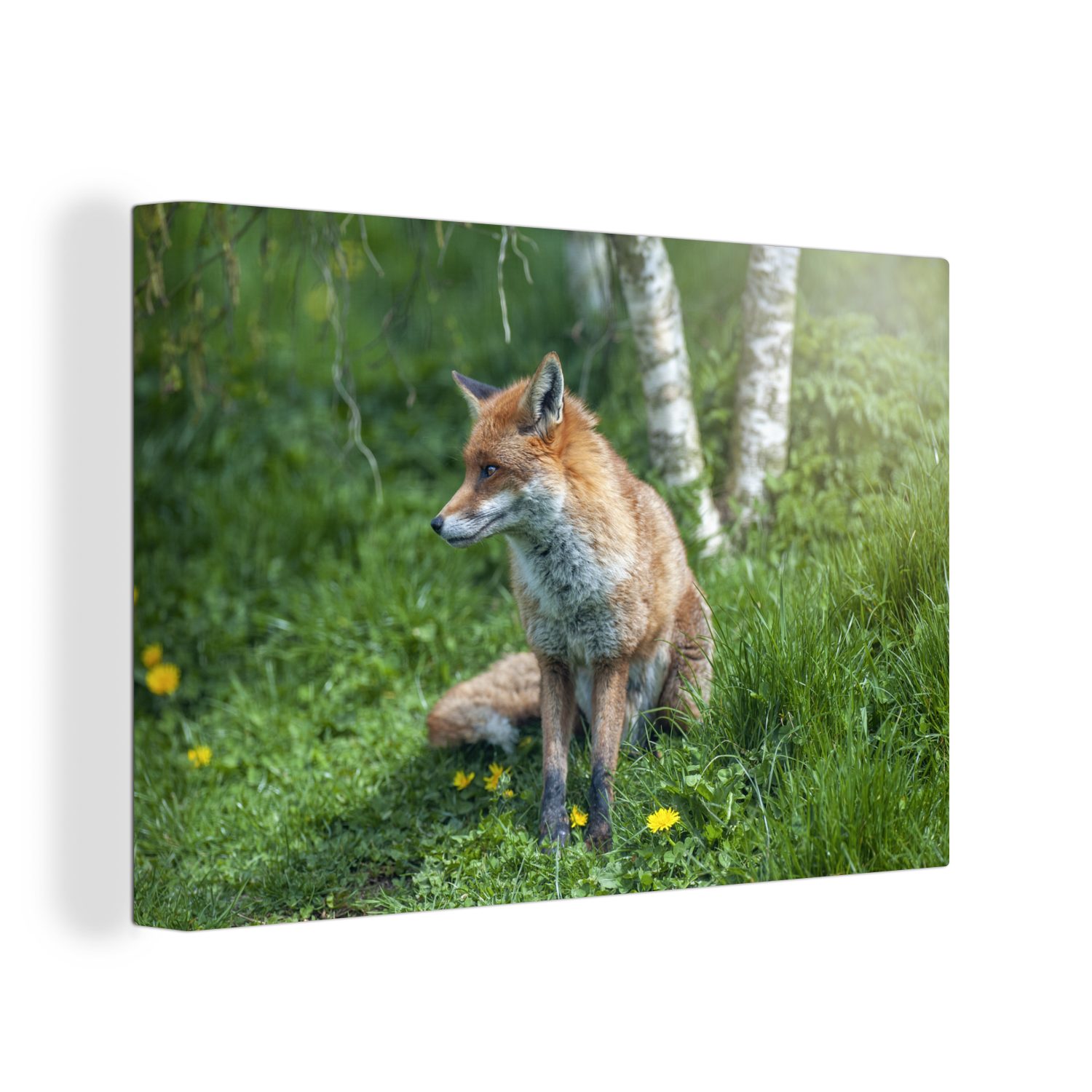 OneMillionCanvasses® Leinwandbild Fuchs - Gras - Baum, (1 St), Wandbild Leinwandbilder, Aufhängefertig, Wanddeko, 30x20 cm