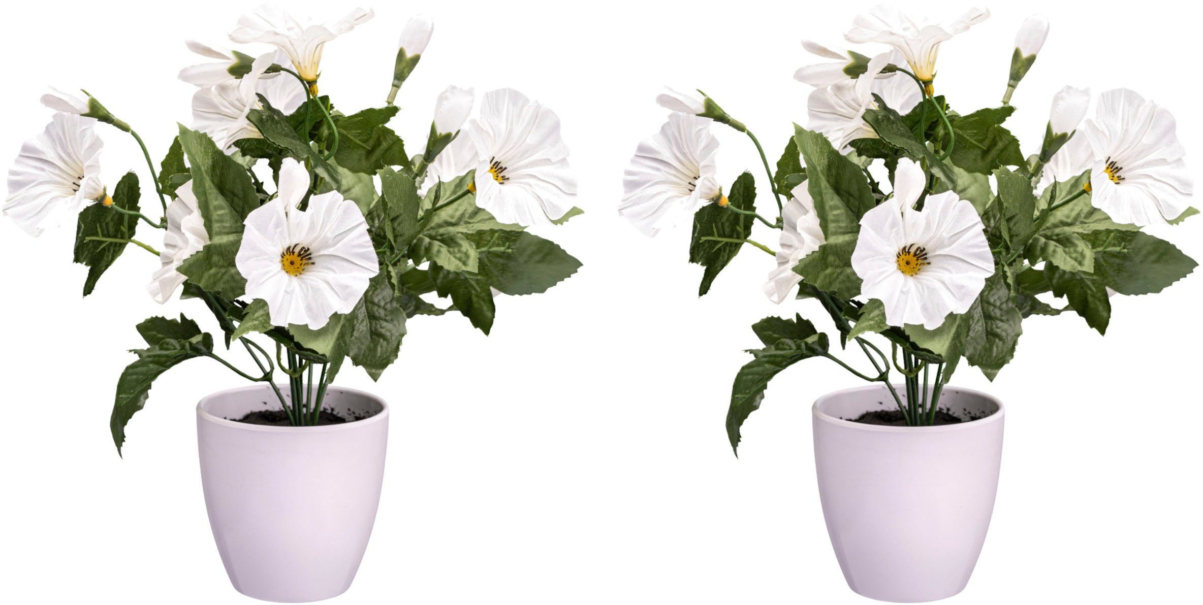Kunstblume Petunie Mohn, Creativ green, Höhe günstig online kaufen