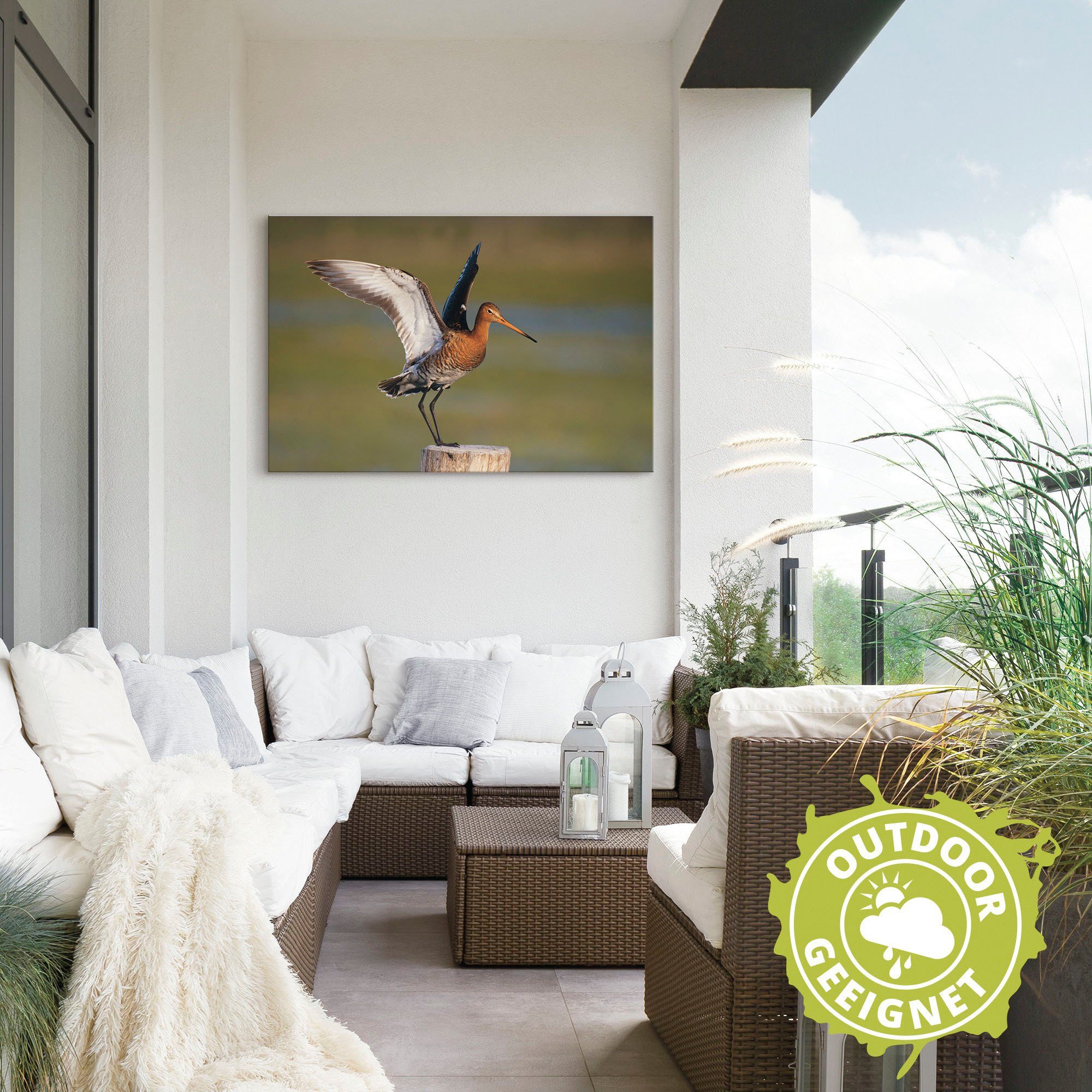 Artland Wandbild »Uferschnepfe im Landeanflug«, Vogelbilder (1 Stück), in vielen Größen & Produktarten - Alubild / Outdoorbild für den Außenbereich, Leinwandbild, Poster, Wandaufkleber / Wandtattoo auch für Badezimmer geeignet-HomeTrends