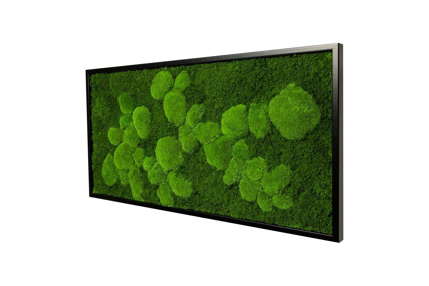 Moos-Design Bild Moosbild Fifty Fifty Design günstig online kaufen