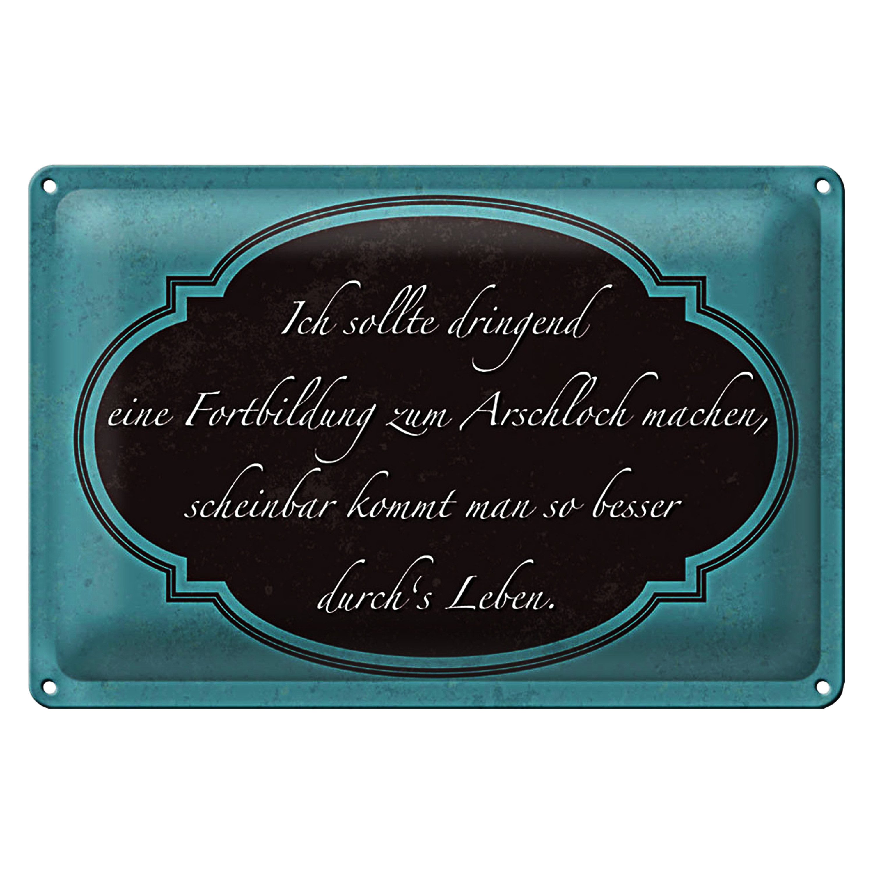 Roomando Metallschild Blechschild Spruch 30x20cm ich Fortbildung zum Arschloch