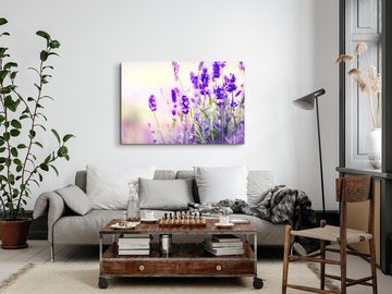 Sinus Art Leinwandbild 120x80cm Wandbild auf Leinwand Lavendel Blumen Sommer Sonnenschein Vio, (1 St)