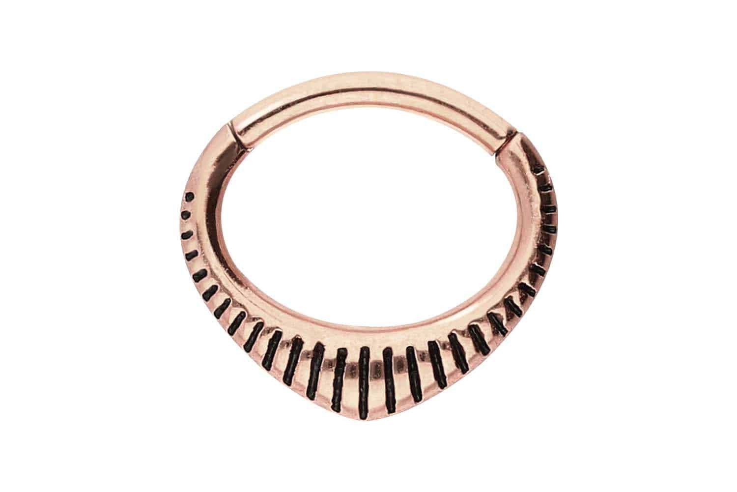 Nasenpiercing Chirurgenstahl Segmentring Clicker DESIGN