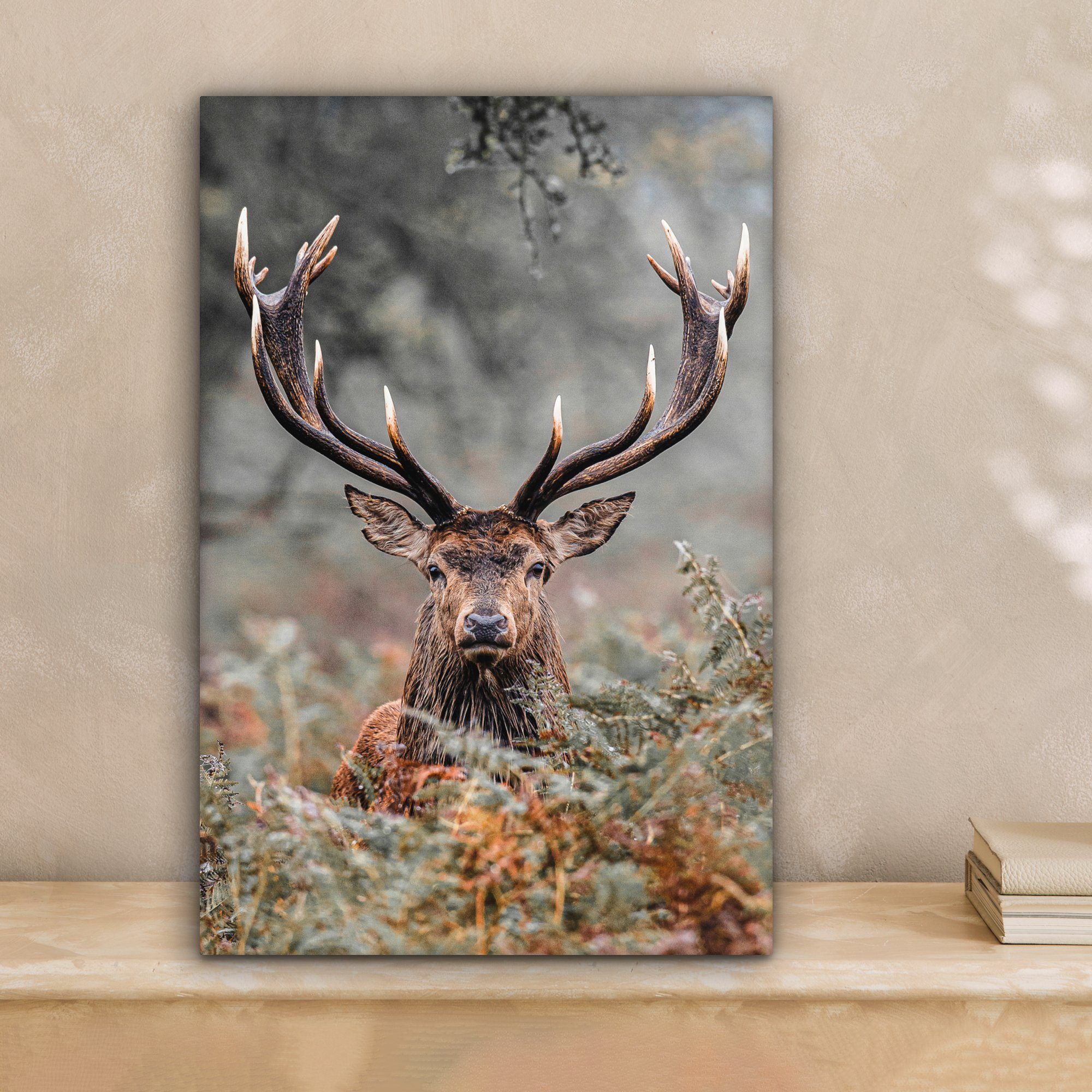 OneMillionCanvasses® Leinwandbild Hirsche - Natur - Herbst - Waldtiere, Fot günstig online kaufen