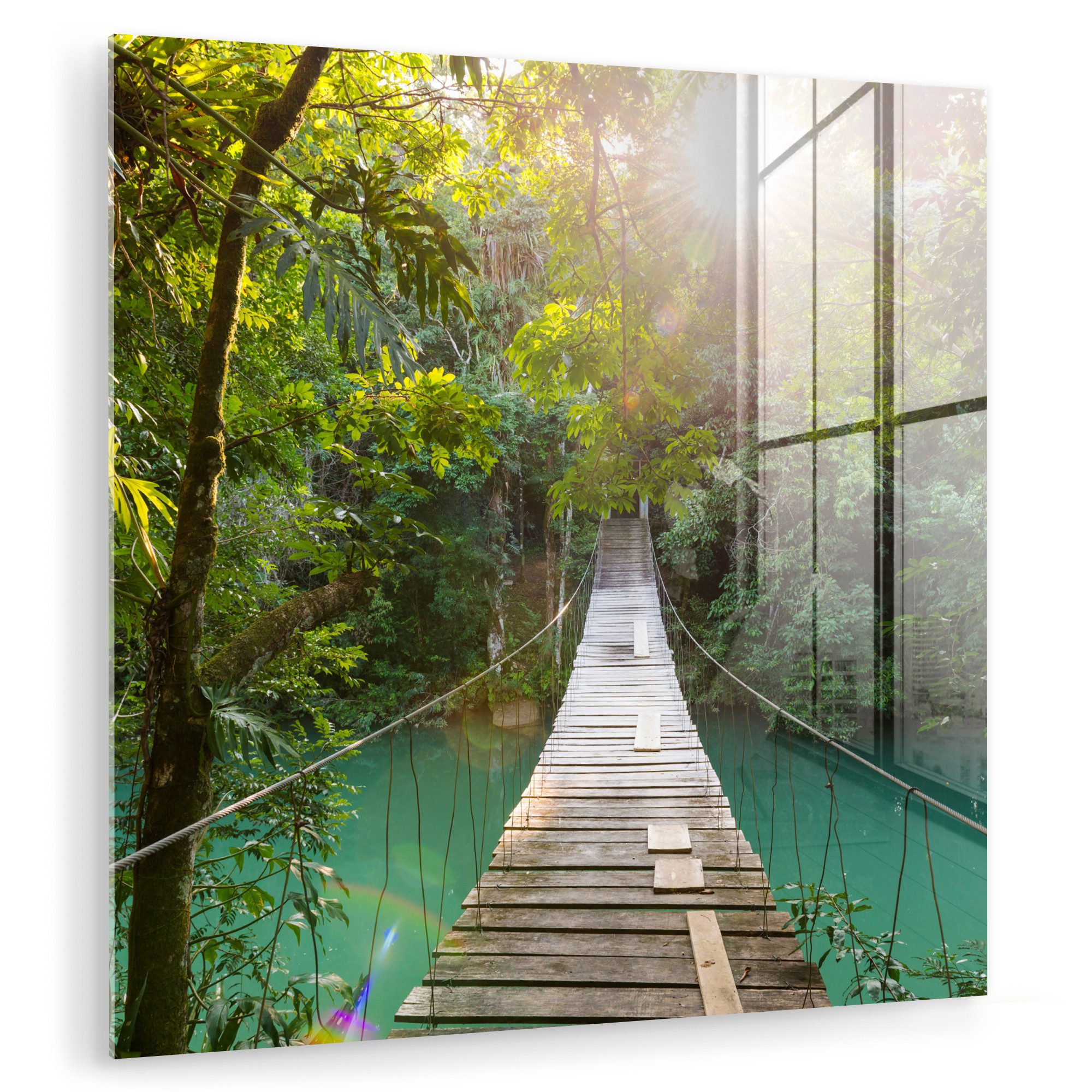 MuchoWow Acrylglasbild Dschungel - Wasser - günstig online kaufen