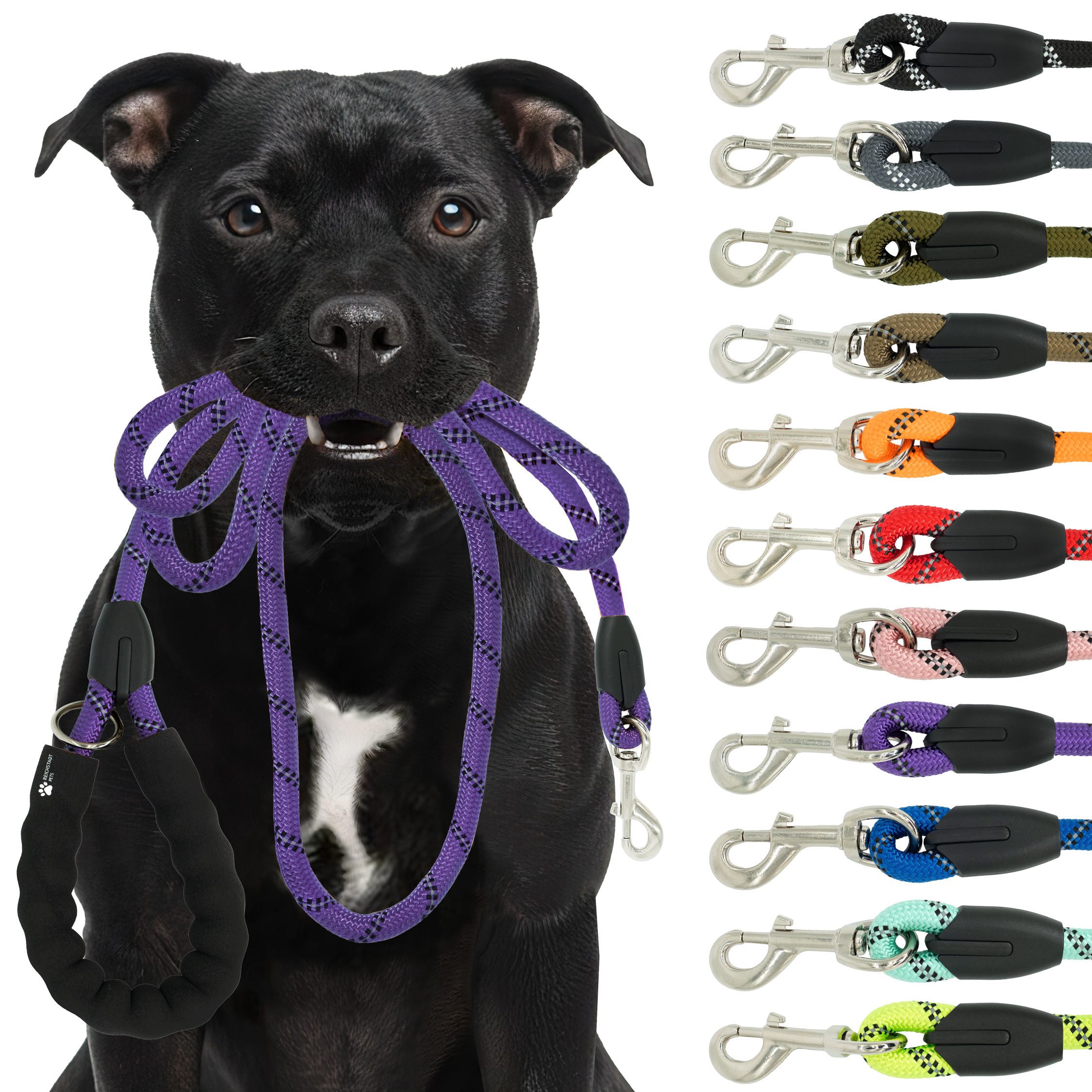 Reichstadt Hundeleine RS Pets Führleine Nylon 25RSP084, Nylon, Ergonomischer EVA-gepolsterter Griff für Blasenschutz