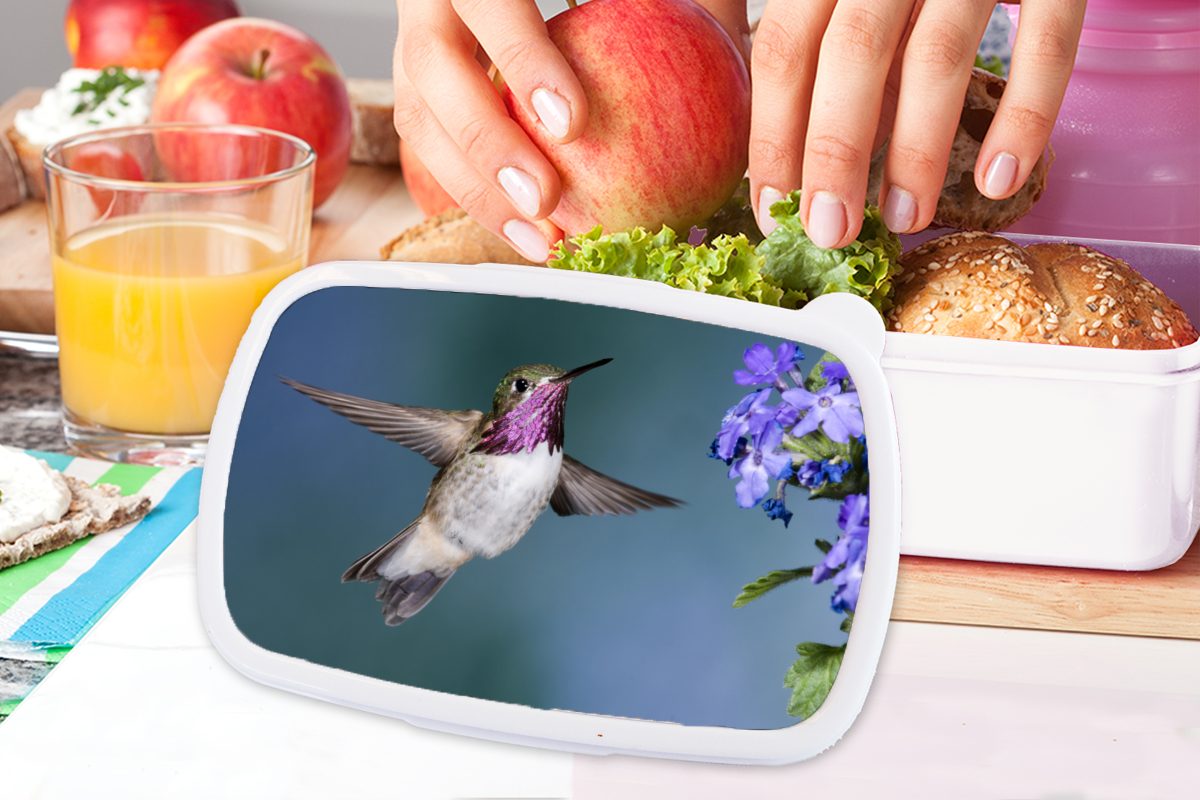 MuchoWow Lunchbox Kolibri - (2-tlg), Blau, und Brotbox Blume Kunststoff, für Mädchen Brotdose, für Kinder Erwachsene, Jungs und weiß 