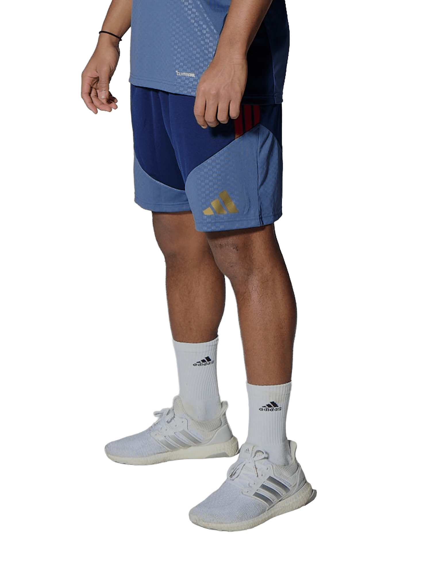 adidas Performance Sweatshorts FC Bayern München, Trainingsshort Teamline, Herren, Blau