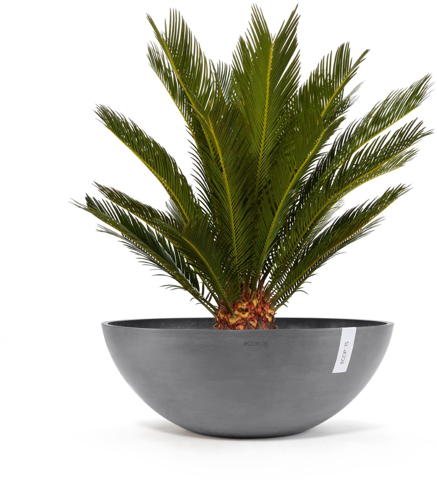 ECOPOTS Blumentopf VIENNA Grey, BxTxH: 70x70x25,5 cm günstig online kaufen