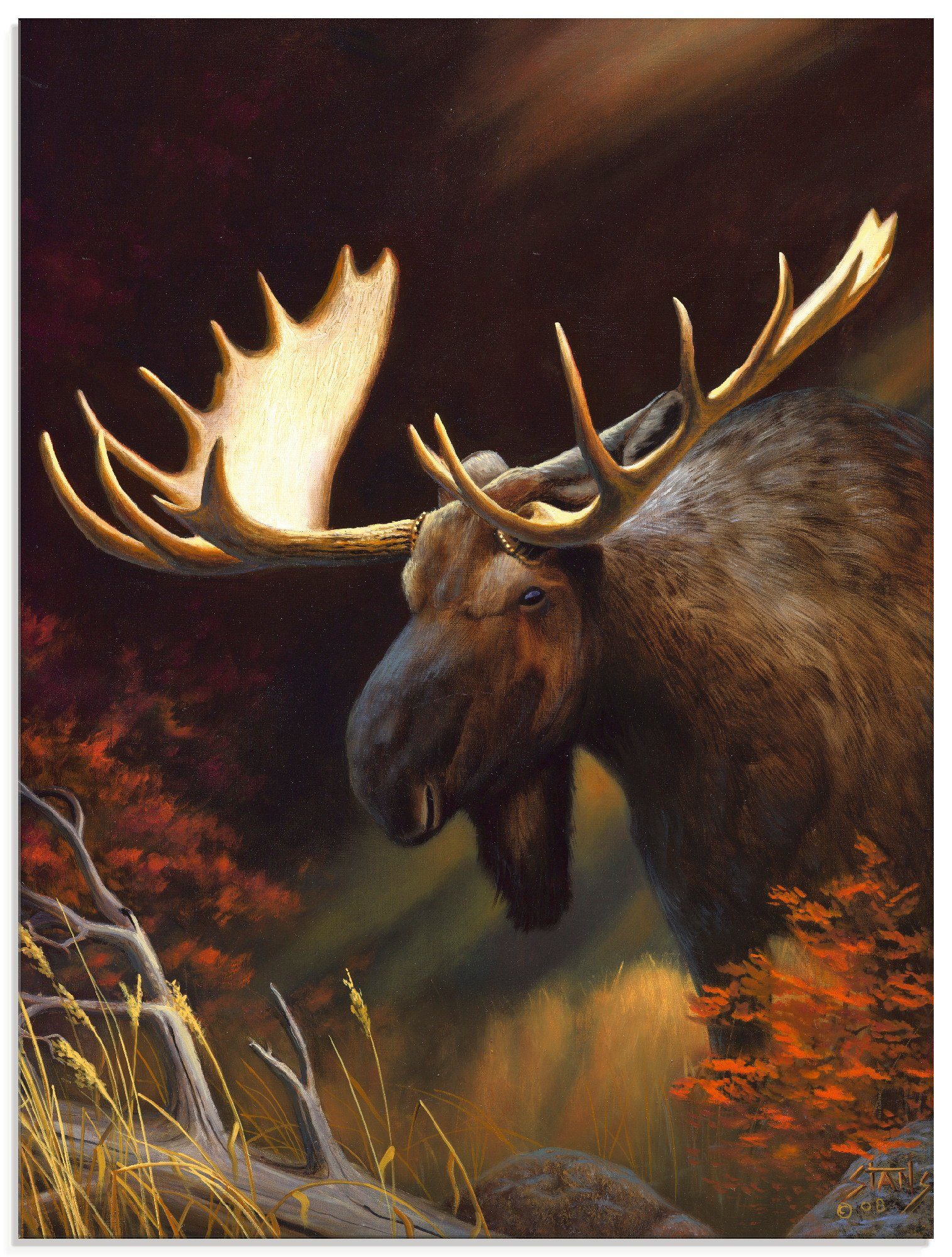 Artland Glasbild »Elch Foto«, Wildtiere (1 Stück)-Otto