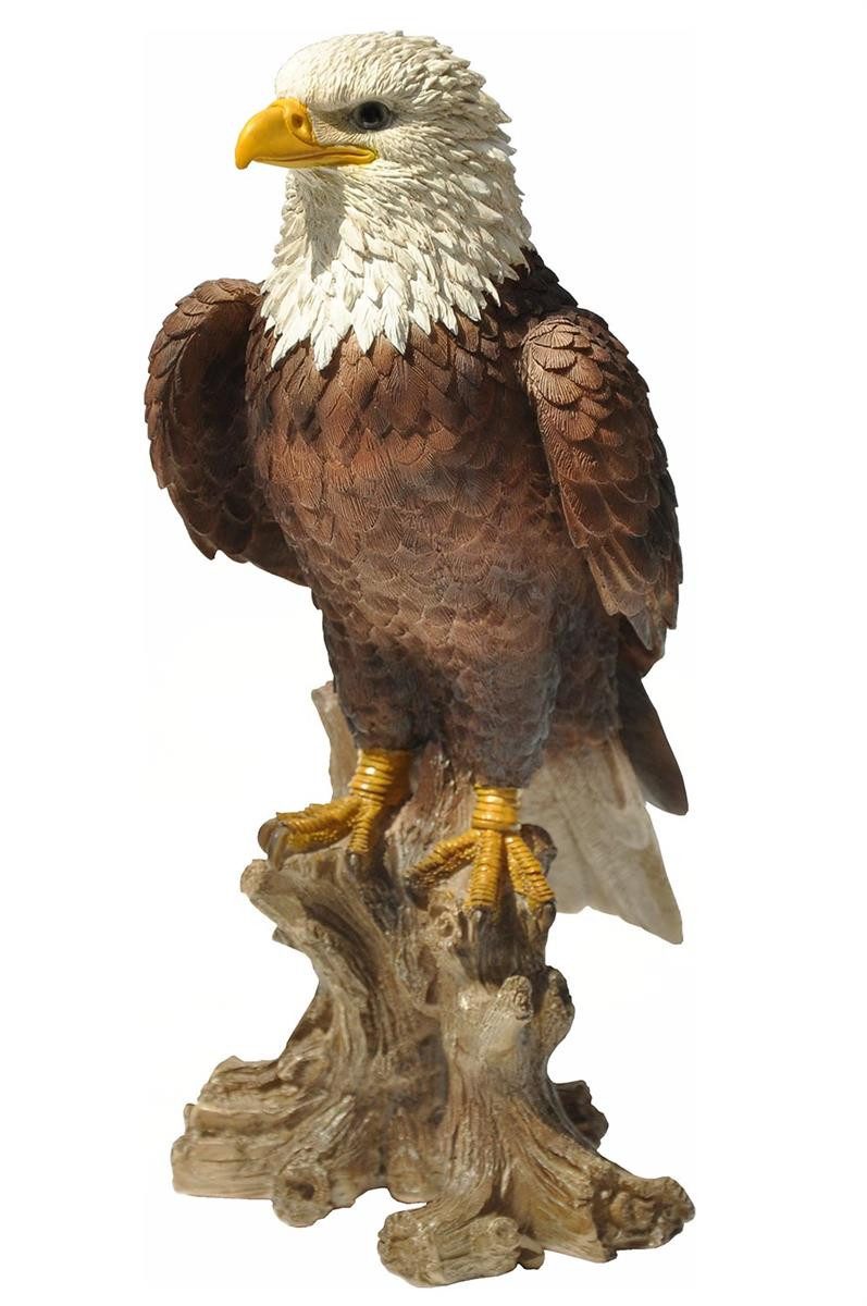 dazikemo Gartenfigur Dekofigur Gartenfigur Weißkopfseeadler – Bild 4 von 5