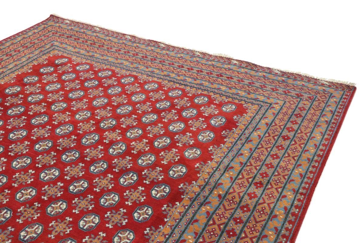 Handgeknüpfter mm Akhche Trading, Orientteppich, 254x348 Nain 6 Afghan Orientteppich rechteckig, Höhe: