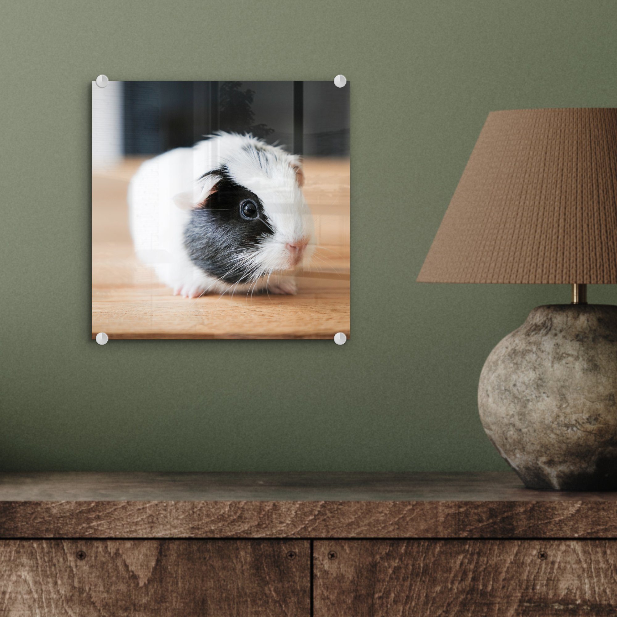 MuchoWow Acrylglasbild Nahaufnahme eines gefleckten - Foto auf Wanddekoration Meerschweinchenbabys, (1 Bilder Glasbilder St), Wandbild Glas Glas - - auf