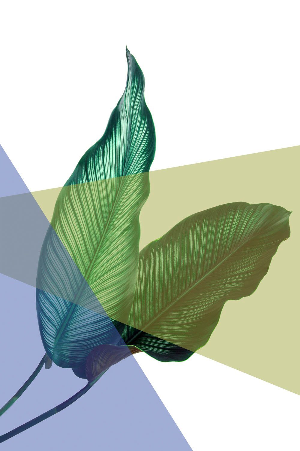 queence Blätter Acrylglasbild