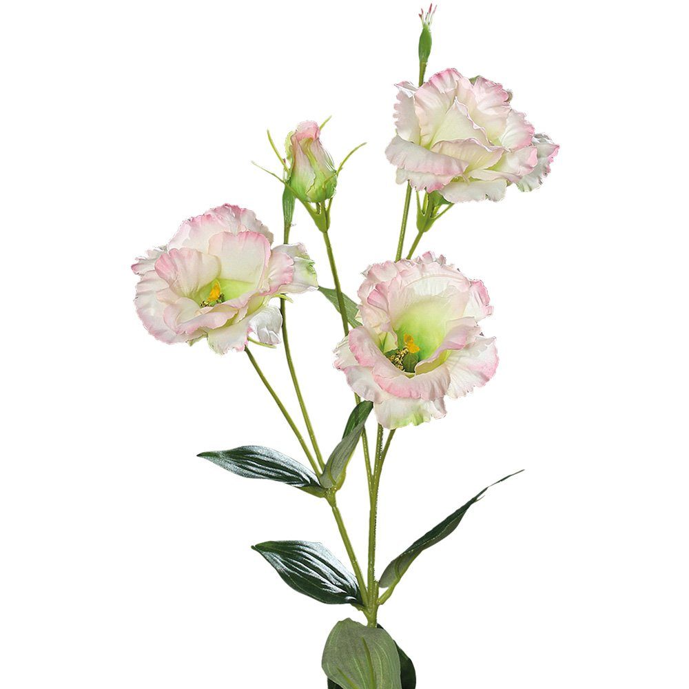 Kunstblume Lysianthus Eustoma Blüten Knospe Kunstblume weiß-rosa 83 cm Eustoma, matches21 HOME & HOBBY, Höhe 83 cm