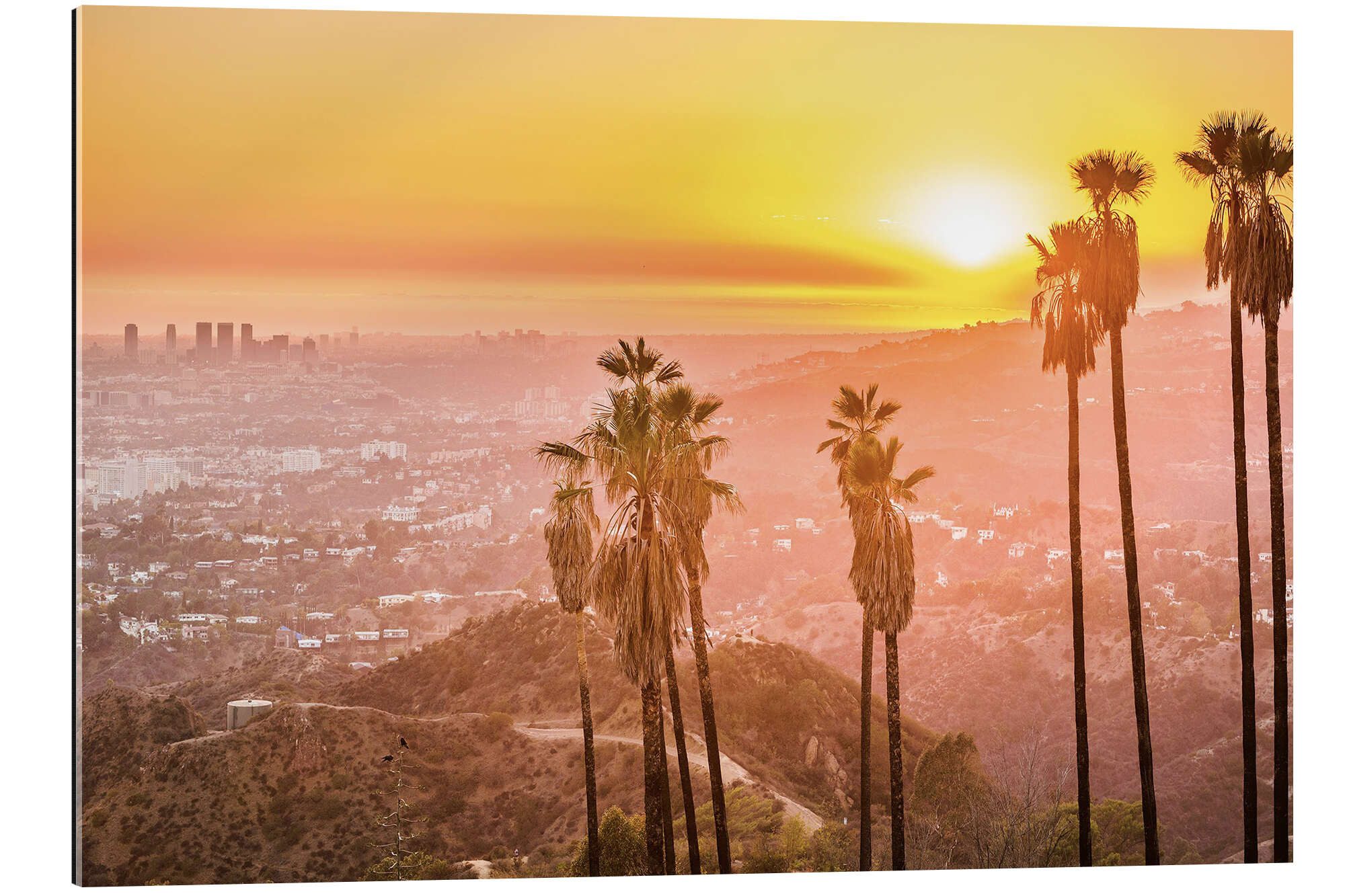 Posterlounge Wandbild Sonnenuntergang im Griffith Park, Los Angeles, Editors Choice, erhältlich als Poster, Leinwandbild, Wandsticker oder Acrylglasbild