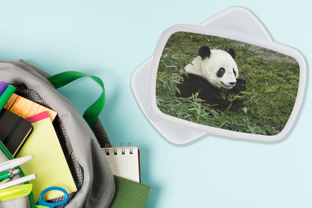 (2-tlg), Panda und - Brotbox Pflanze, - Mädchen weiß Brotdose, Kunststoff, Erwachsene, MuchoWow Bambus Lunchbox für und für Jungs Kinder