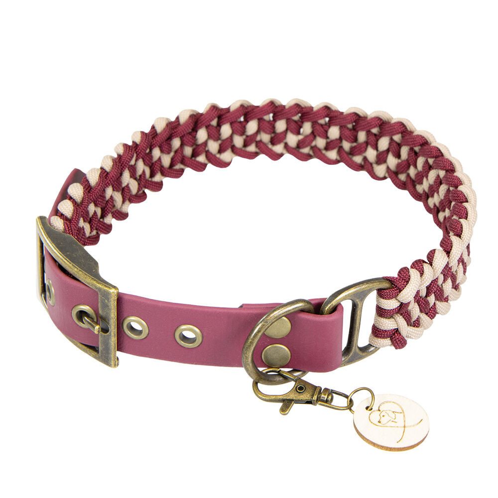 Trendfährte Hunde-Halsband Hundehalsband Paracord - handgearbeitet - robust, Paracord und Biothane, erstklassige Handarbeit