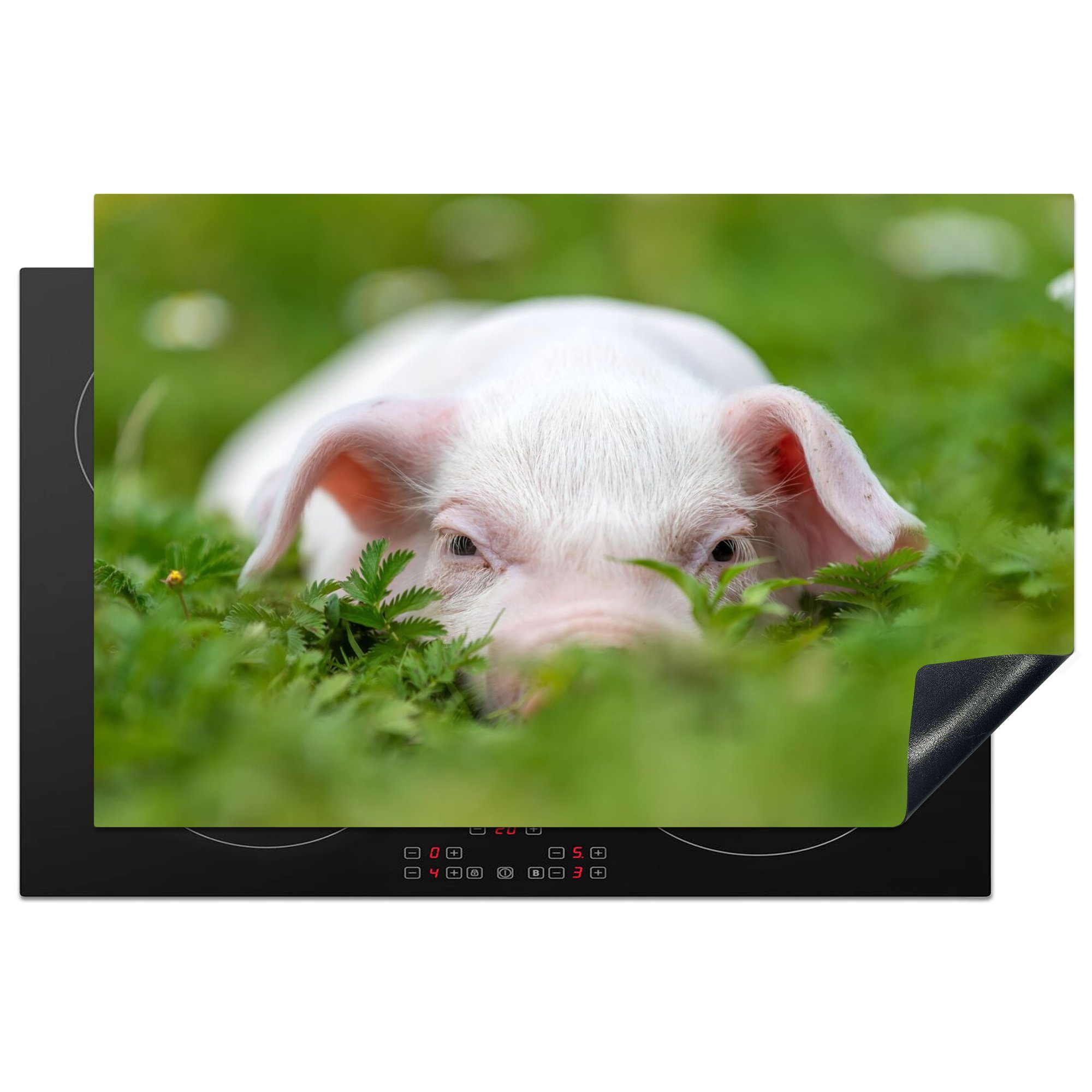 MuchoWow Herdblende-/Abdeckplatte Schwein - Tiere - Groß, Vinyl, (1 tlg), 81x52 cm, Ceranfeldabdeckung, Arbeitsplatte für küche