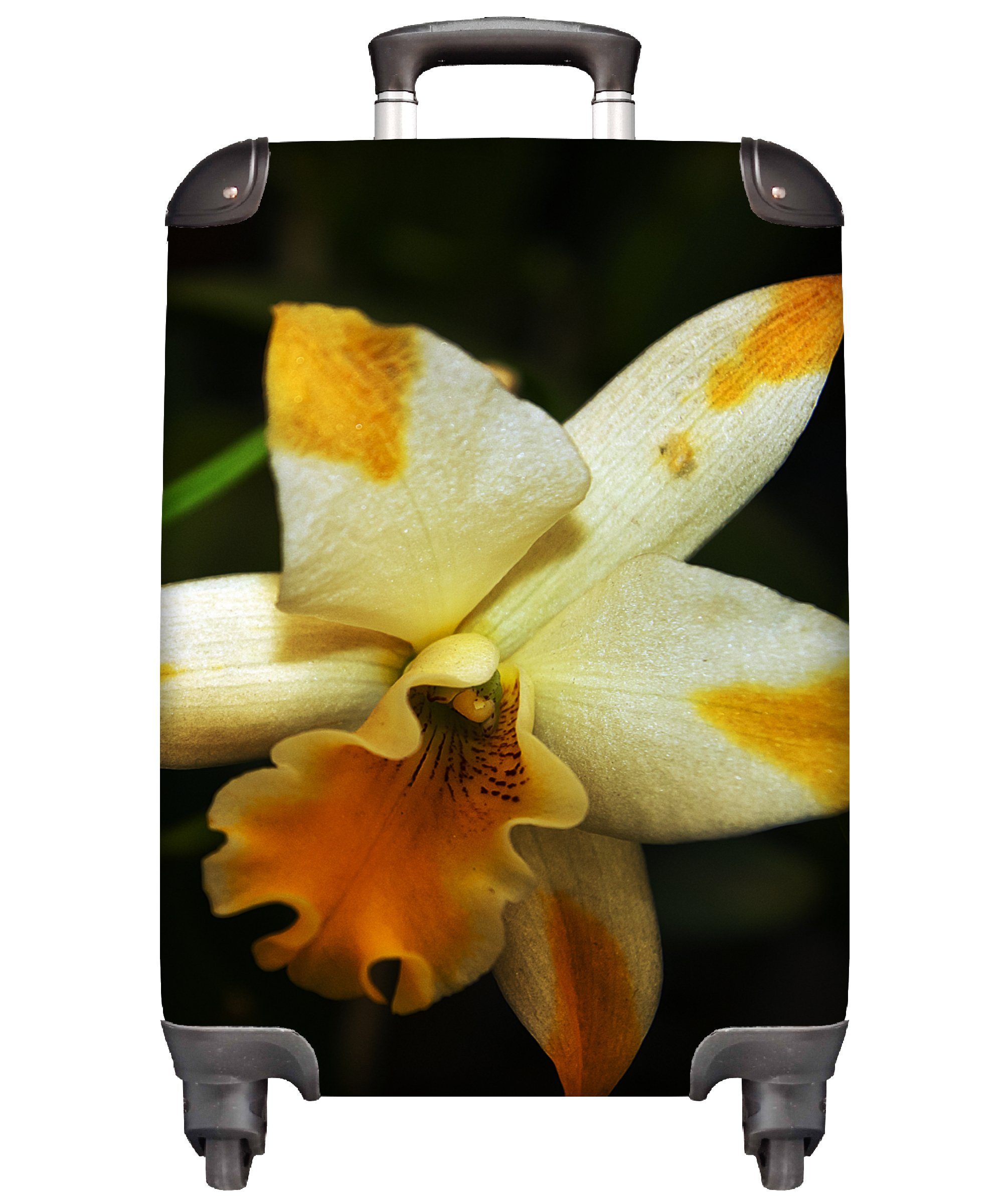 MuchoWow Zwei Ferien, für Orchideenblüten, rollen, Rollen, Handgepäckkoffer 4 Trolley, Handgepäck Reisetasche mit Reisekoffer