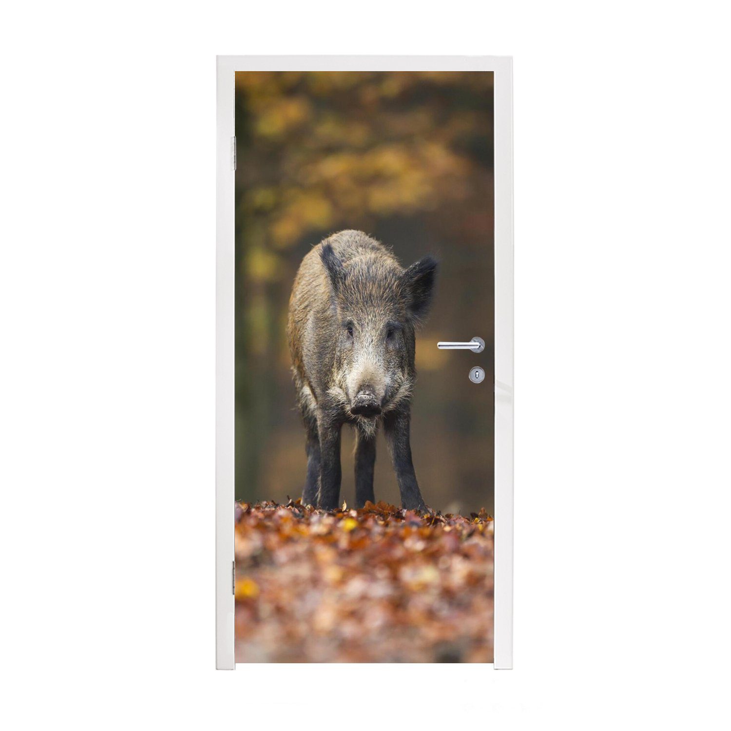 75x205 - Türtapete bedruckt, - cm Türaufkleber, für Wald St), Wildtier Fototapete (1 Tür, MuchoWow Herbst, Matt,