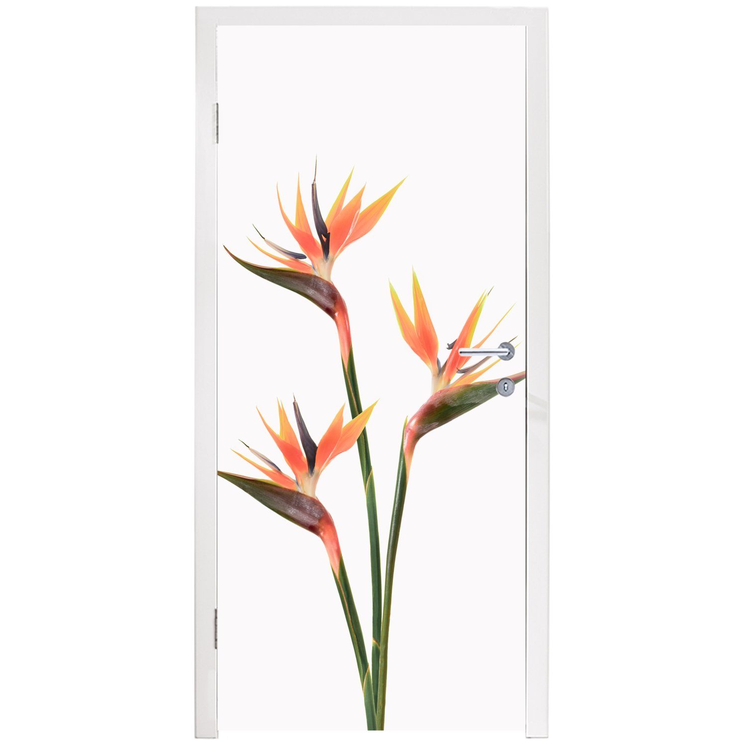 MuchoWow Türtapete Blumen - Orange (1 für Fototapete Türaufkleber, cm Natur - 75x205 bedruckt, St), Matt, Pflanzen, Tür, 
